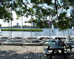 View of the Charles River from the picnic area.